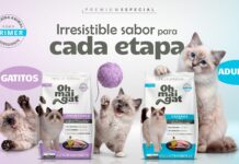 El irresistible sabor de Oh Mai Gat acompaña a tu gato en cada etapa